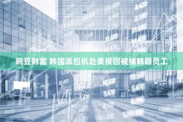 豌豆财富 韩国派包机赴美接回被捕韩籍员工