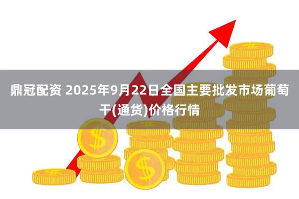 鼎冠配资 2025年9月22日全国主要批发市场葡萄干(通货)价格行情