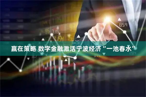 赢在策略 数字金融激活宁波经济“一池春水”