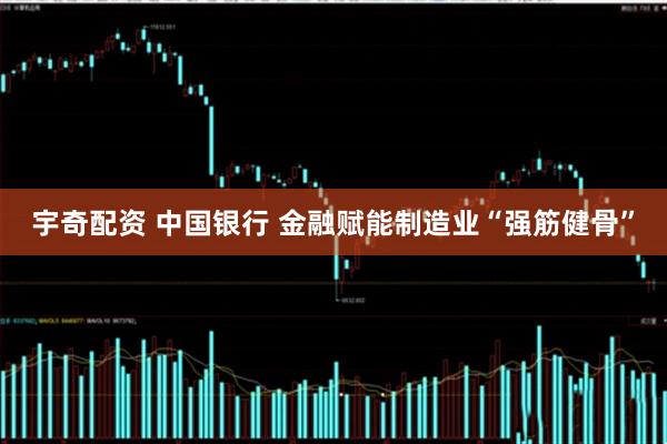 宇奇配资 中国银行 金融赋能制造业“强筋健骨”
