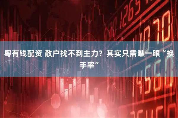粤有钱配资 散户找不到主力？其实只需瞧一眼“换手率”