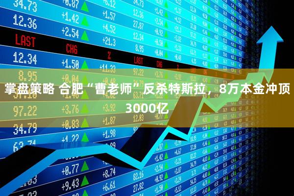 掌盘策略 合肥“曹老师”反杀特斯拉，8万本金冲顶3000亿