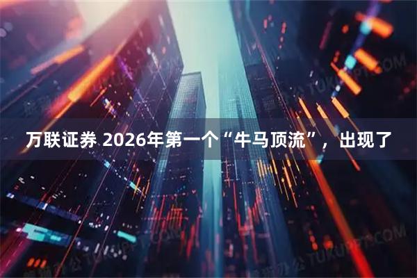万联证券 2026年第一个“牛马顶流”，出现了