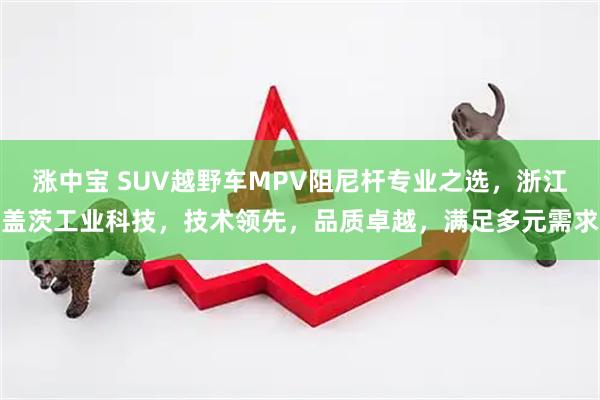 涨中宝 SUV越野车MPV阻尼杆专业之选，浙江盖茨工业科技，技术领先，品质卓越，满足多元需求