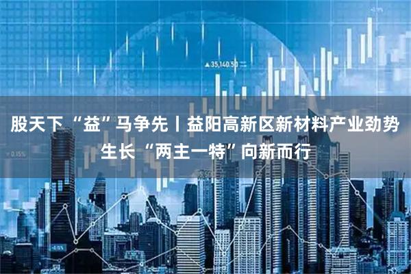 股天下 “益”马争先丨益阳高新区新材料产业劲势生长 “两主一特”向新而行